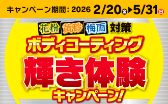 ボディコーティングCP