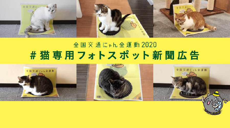 #猫専用フォトスポット新聞広告