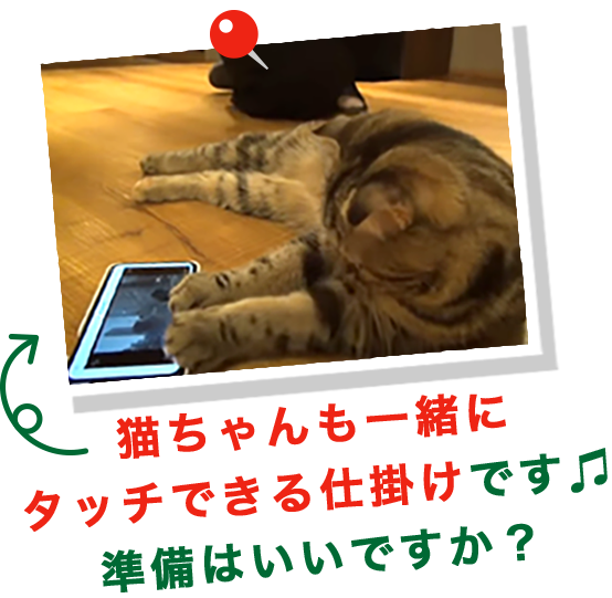 猫ちゃんも一緒にタッチできる仕掛けです♫準備はいいですか？