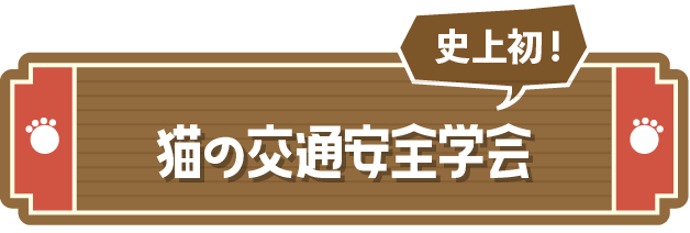 猫の交通安全学会