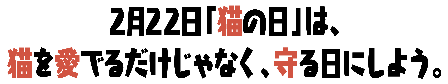 2月22日「猫の日」は、猫を愛でるだけじゃなく、守る日にしよう。