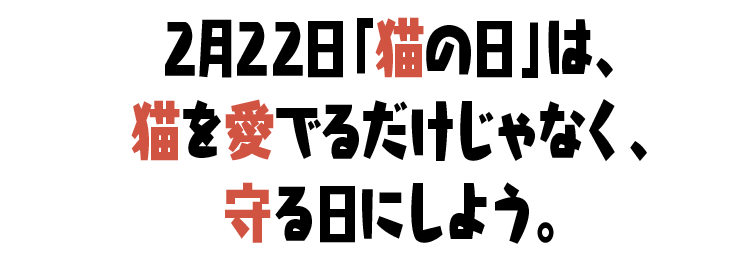 2月22日「猫の日」は、猫を愛でるだけじゃなく、守る日にしよう。