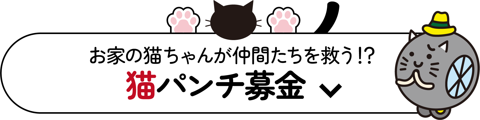 猫パンチ募金