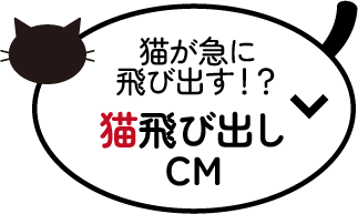 猫飛び出しCM