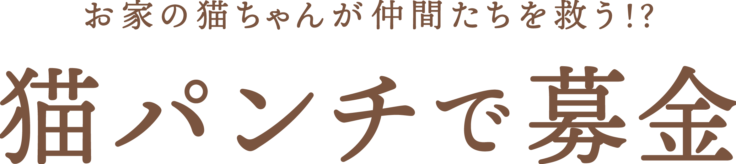 お家の猫ちゃんが仲間たちを救う!? 猫パンチ募金