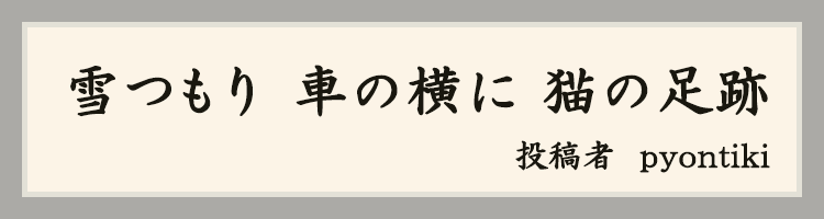 ハットにゃん賞