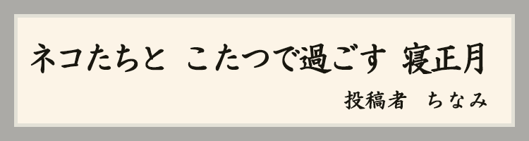 ハットにゃん賞