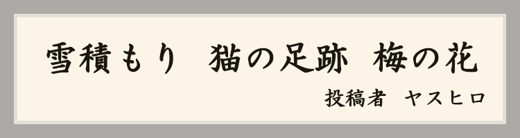 ハットにゃん賞