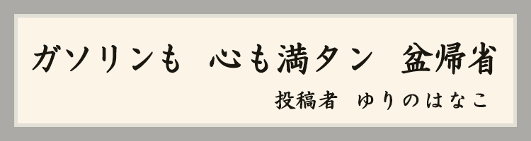 ハットにゃん賞