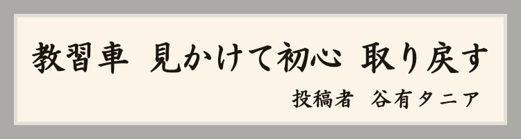 ハットにゃん賞