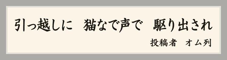 ハットにゃん賞