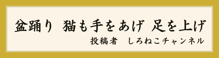 大賞