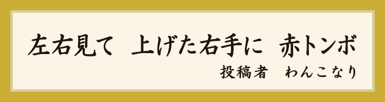 大賞
