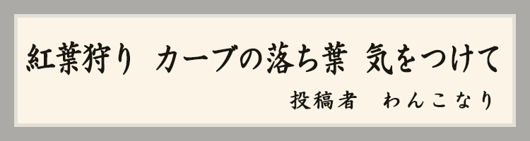 ハットにゃん賞