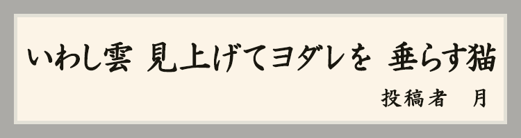 ハットにゃん賞