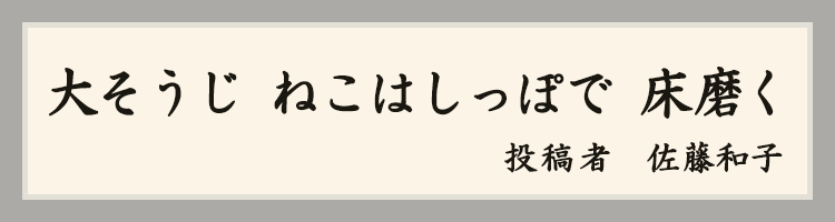 ハットにゃん賞