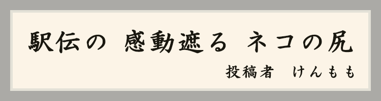 ハットにゃん賞
