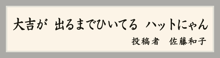 ハットにゃん賞