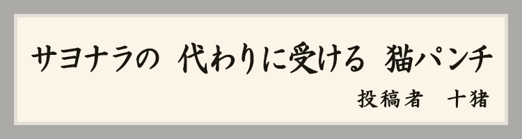 ハットにゃん賞