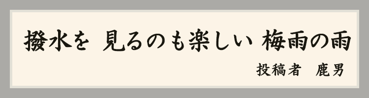 ハットにゃん賞