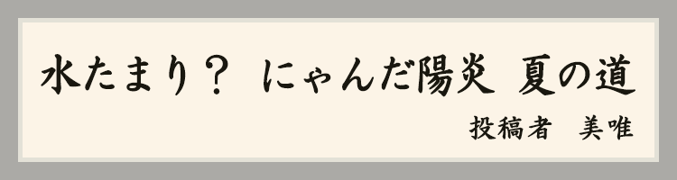 ハットにゃん賞