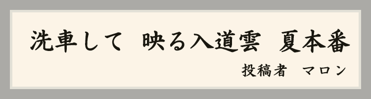 ハットにゃん賞