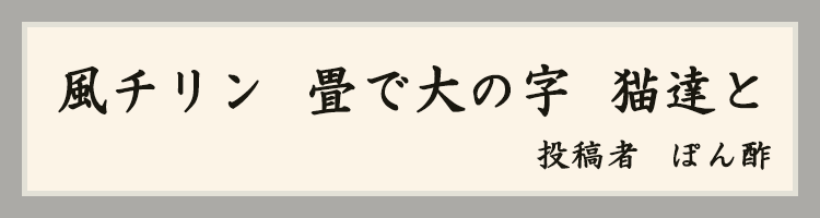 ハットにゃん賞