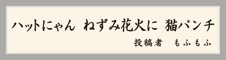 ハットにゃん賞