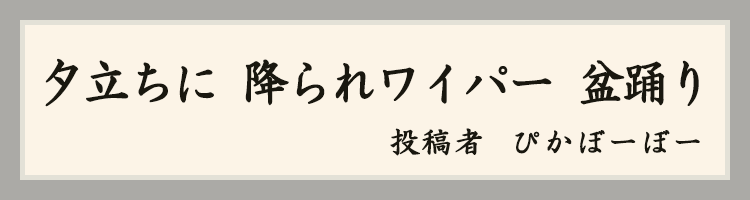ハットにゃん賞