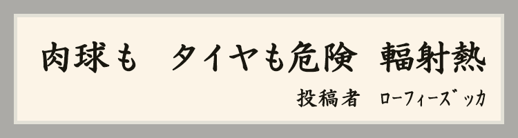 ハットにゃん賞