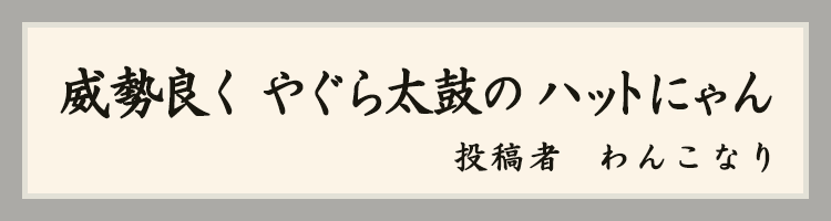 ハットにゃん賞