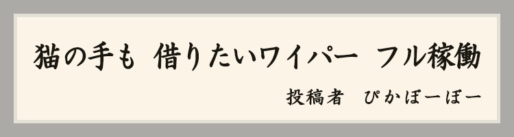 ハットにゃん賞