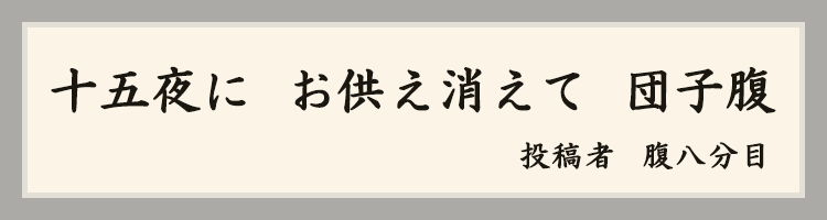 ハットにゃん賞