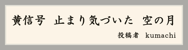 ハットにゃん賞