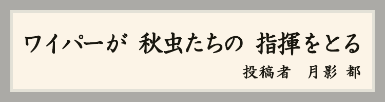 ハットにゃん賞