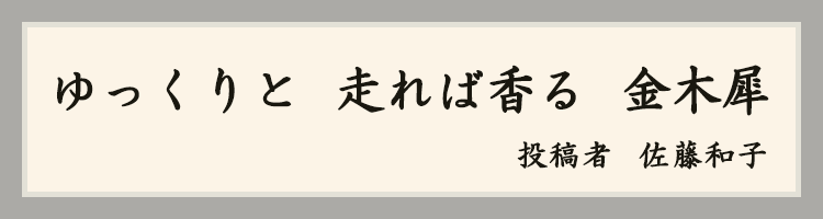 ハットにゃん賞