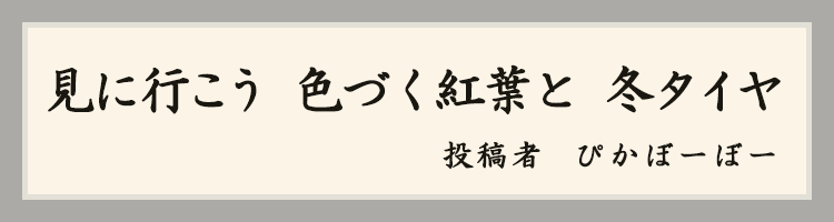 ハットにゃん賞