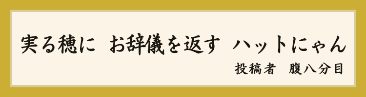 大賞
