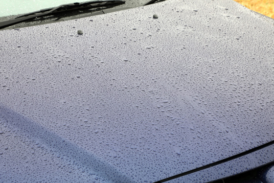 車の雨シミが付着する要因とは 取り除く方法や付着を防ぐポイントも解説 ボディコーティングコラム コラム イエローハット