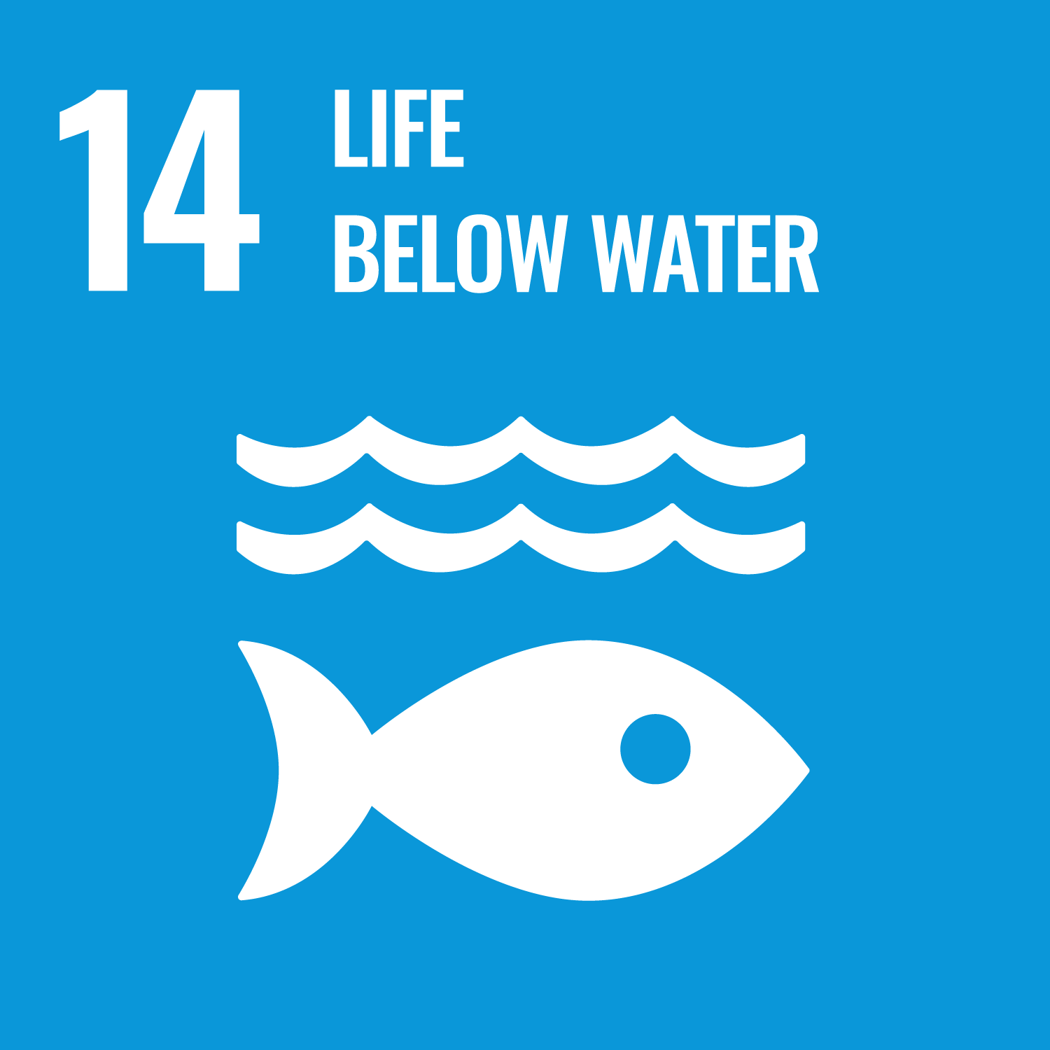  GOAL 14: Life Below Water