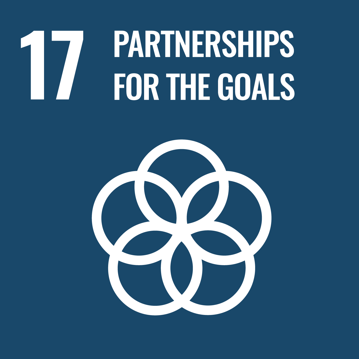  GOAL 17: Partnerships to achieve the Goal