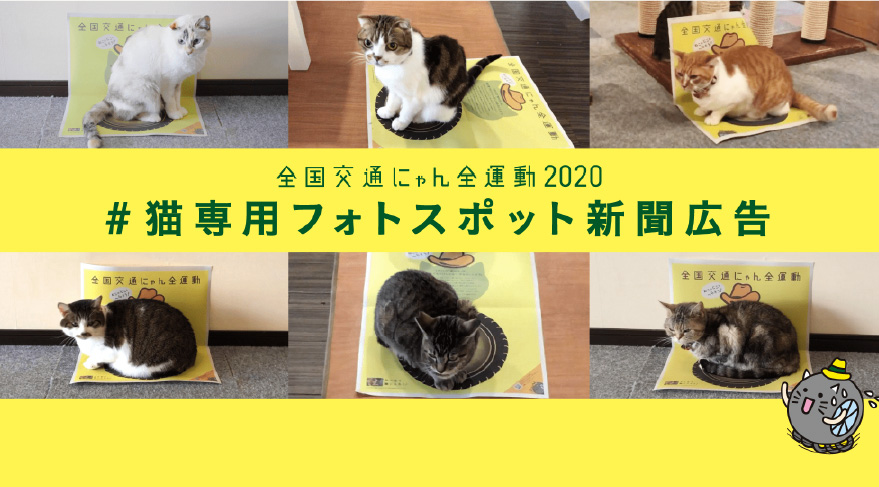 2020年 2月