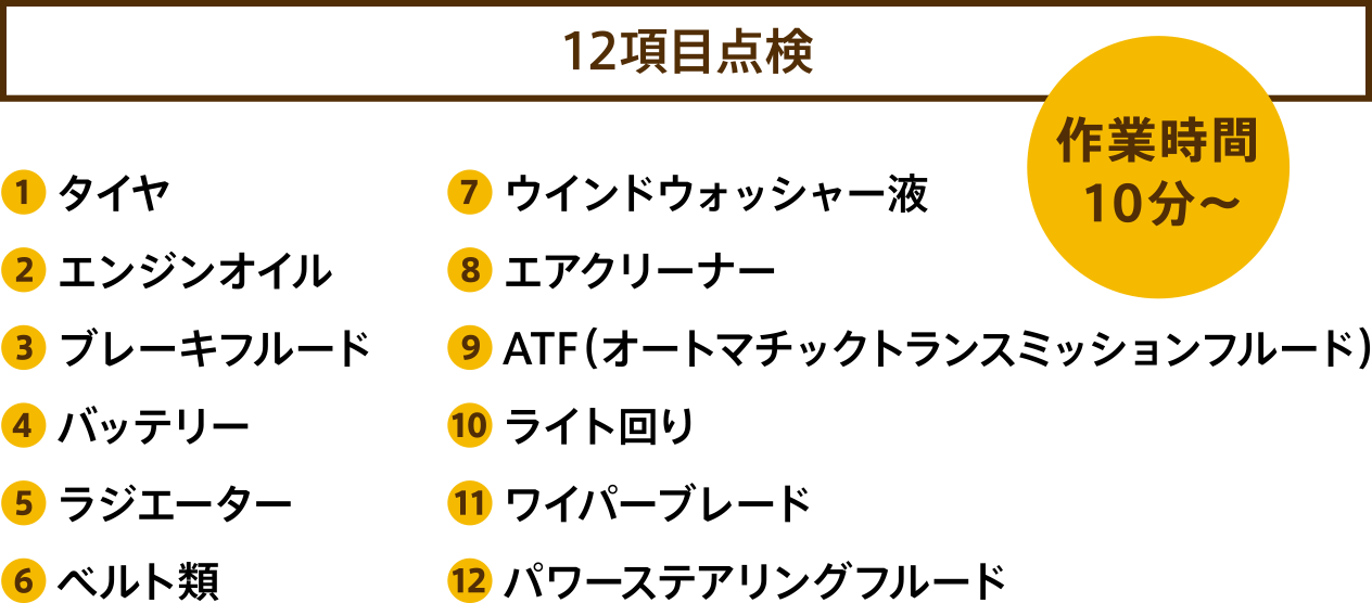 12項目点検