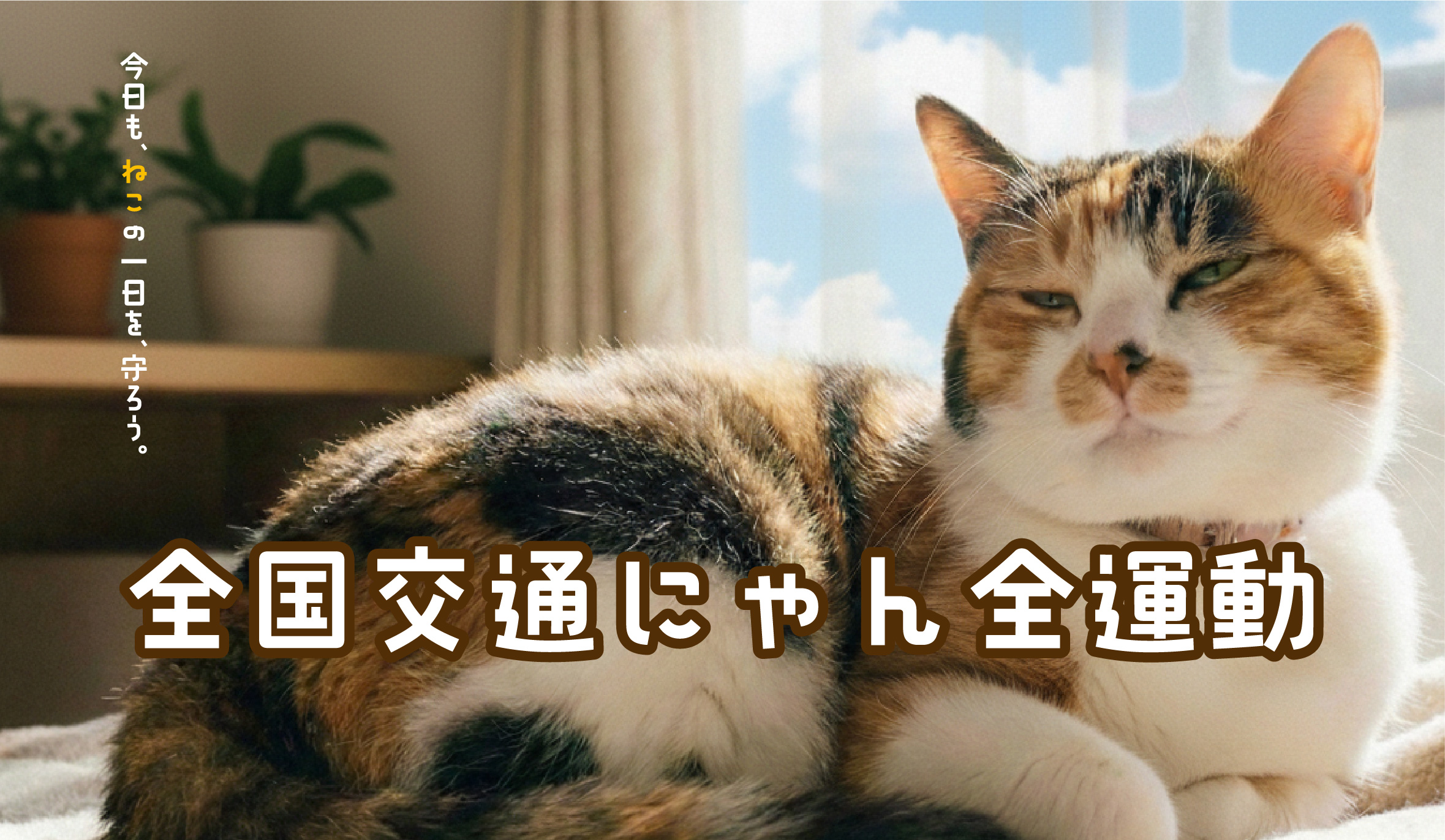 猫の事故を減らそう～全国交通にゃん全運動～