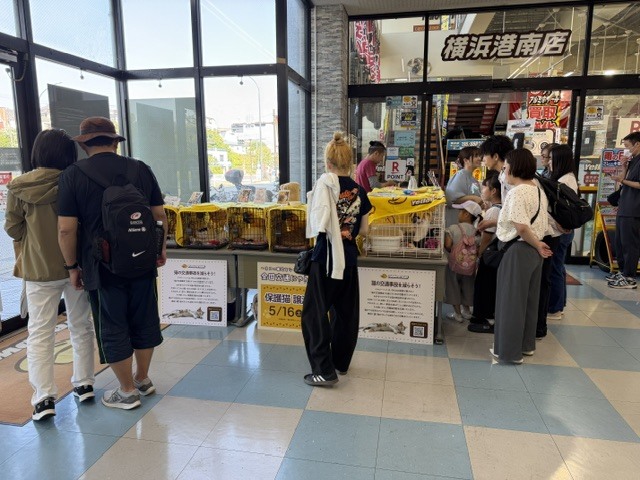 掲載準備中
