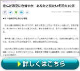 NIKKEI STYLEu񂾖ɐFN₩@Ȃƌ~ԉ10Iv