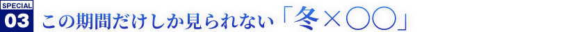 SPECIAL03 ̊ԂȂu~~ZZv