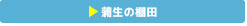 V^̒Ic