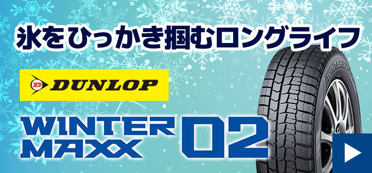 ダンロップWINTER MAXX WM02