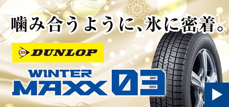 ダンロップWINTER MAXX WM03